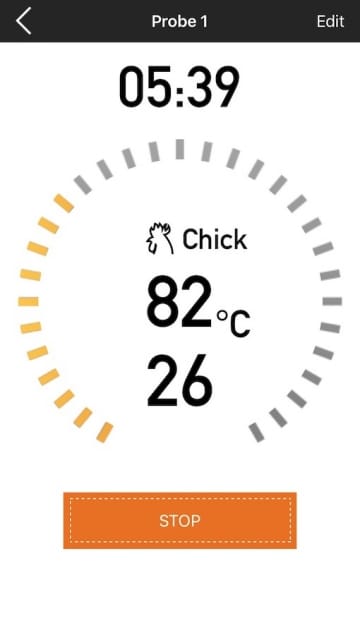 Santos BBQ Thermometer