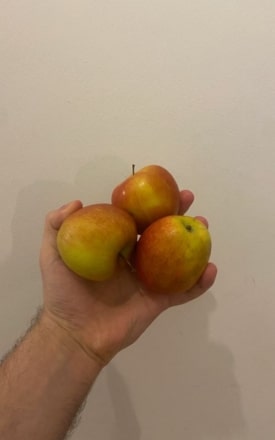 Zentrifugalentsafter Apfel